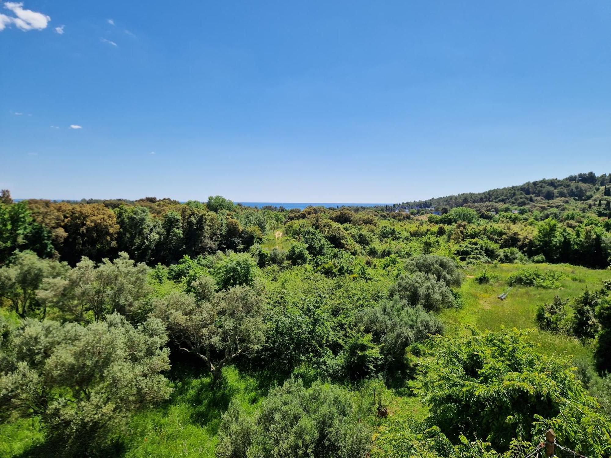 Villa Mareonda Ровинь Экстерьер фото